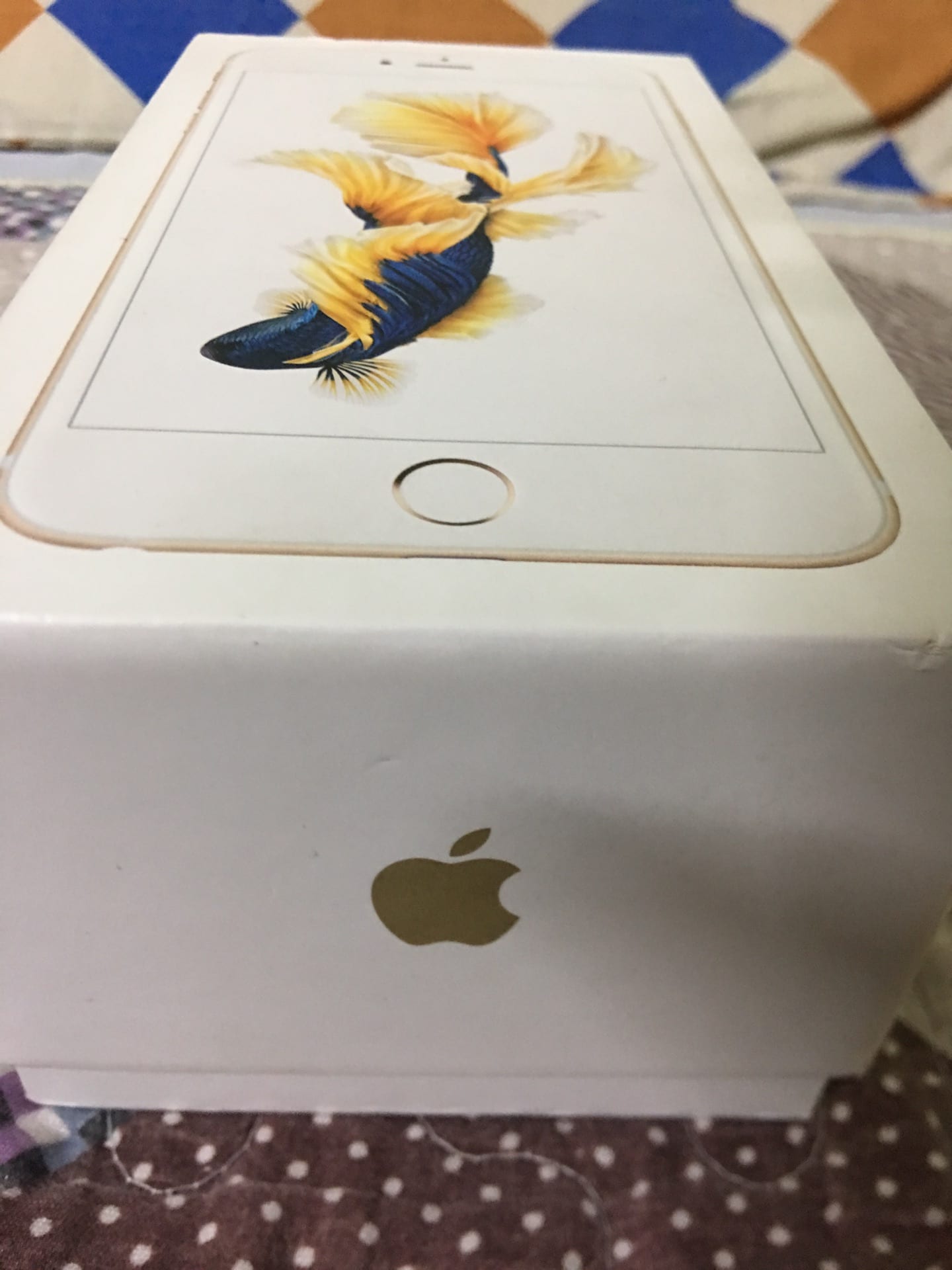 ايفون 6s plus مستعمل نظيف ذهبي مع كرتونتو و اغراضو
لا تنسَ أنك شاهدت هذا الإعلان في عنكبوت
ال...