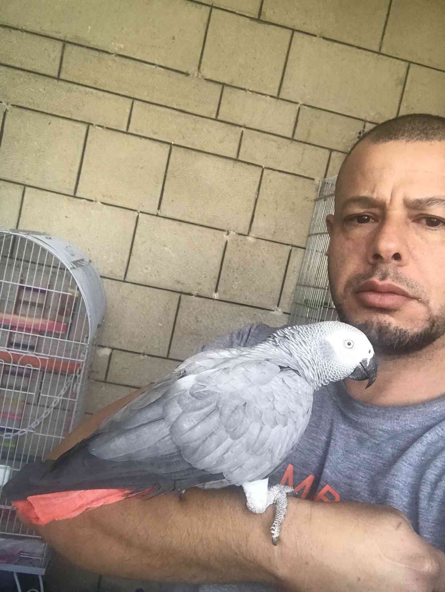 كاسكو اليف متكلم للبيع
لا تنسَ أنك شاهدت هذا الإعلان في عنكبوت
كاسكو متكلم اكثر من 30 كلمه ال...