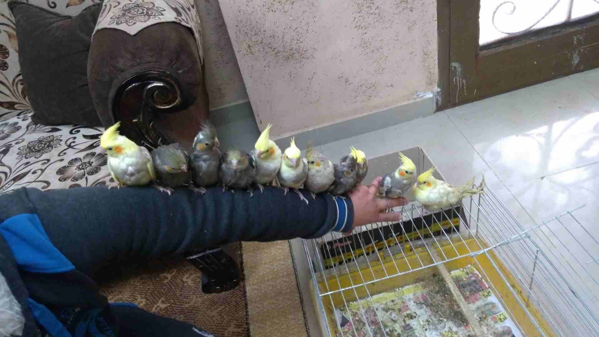 كوكتيل اليف
لا تنسَ أنك شاهدت هذا الإعلان في عنكبوت
ما شاء الله
عرض خاص يا بلاش بلدي صحة ونظافة
ك...