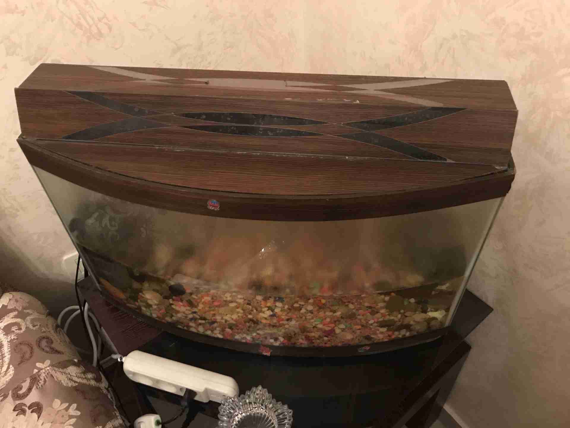 حوض سمك مع اغراضه
لا تنسَ أنك شاهدت هذا الإعلان في عنكبوت
حوض سمك مع اغراضه للبيع
مطلوب 25 دي...