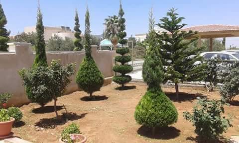 تنسيق حدائق
لا تنسَ أنك شاهدت هذا الإعلان في عنكبوت
تنسيق حدائق 0788445103
رقم الم...