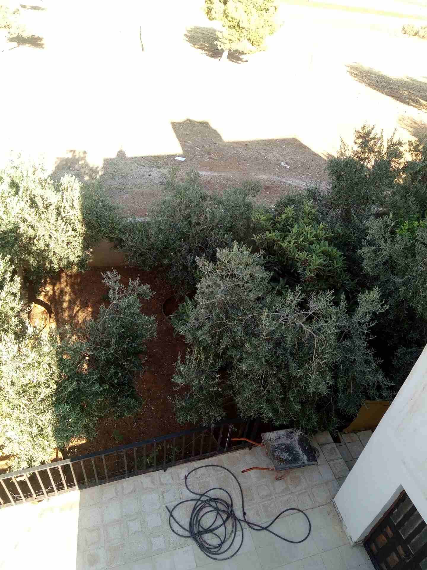 منزل مستقل طريق المطار قريب من الجامعه الزيتونه
لا تنسَ أنك شاهدت هذا الإعلان في عنكبوت
منزل مستق...
