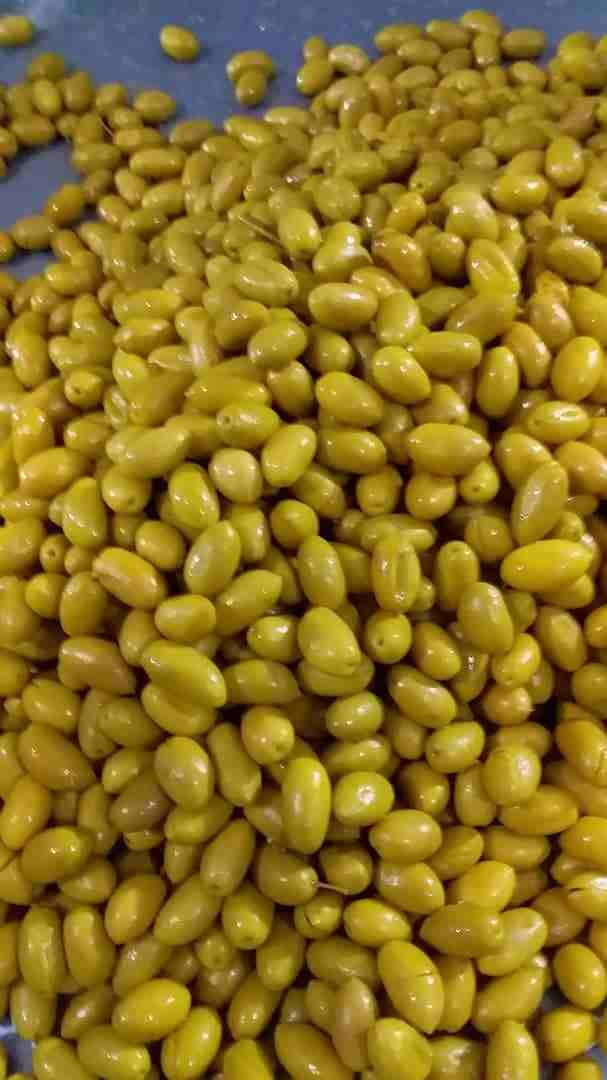 من خيرات سوريا استيراد حسب طلب
لا تنسَ أنك شاهدت هذا الإعلان في عنكبوت
من خيرات سوريا من مال شام...