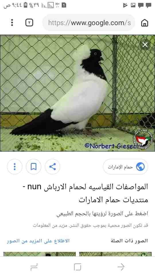 جوز ارباش الماني
لا تنسَ أنك شاهدت هذا الإعلان في عنكبوت
بسم الله موجود جوز ارباش الماني شغلات نخ...
