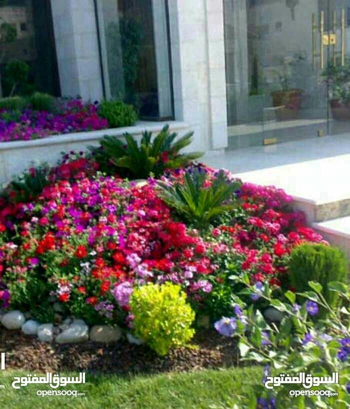 مكتب حنين
لا تنسَ أنك شاهدت هذا الإعلان في عنكبوت
تستمر عرووض تحطيم الأسعار مع مكتب حنين يشم...