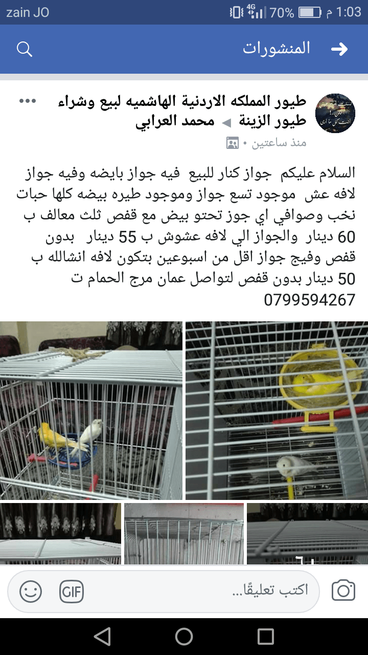 جواز كنار للبيع
لا تنسَ أنك شاهدت هذا الإعلان في عنكبوت
جوزا كنار للبيع وطيره بيضه التفاصيل ك...