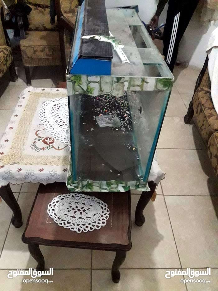 حوض سمك الزينه دفاي للمياه فلتر كبير مضخه هواء للزينه علبه للفراخ
لا تنسَ أنك شاهدت هذا الإعلان في عنكبوت...