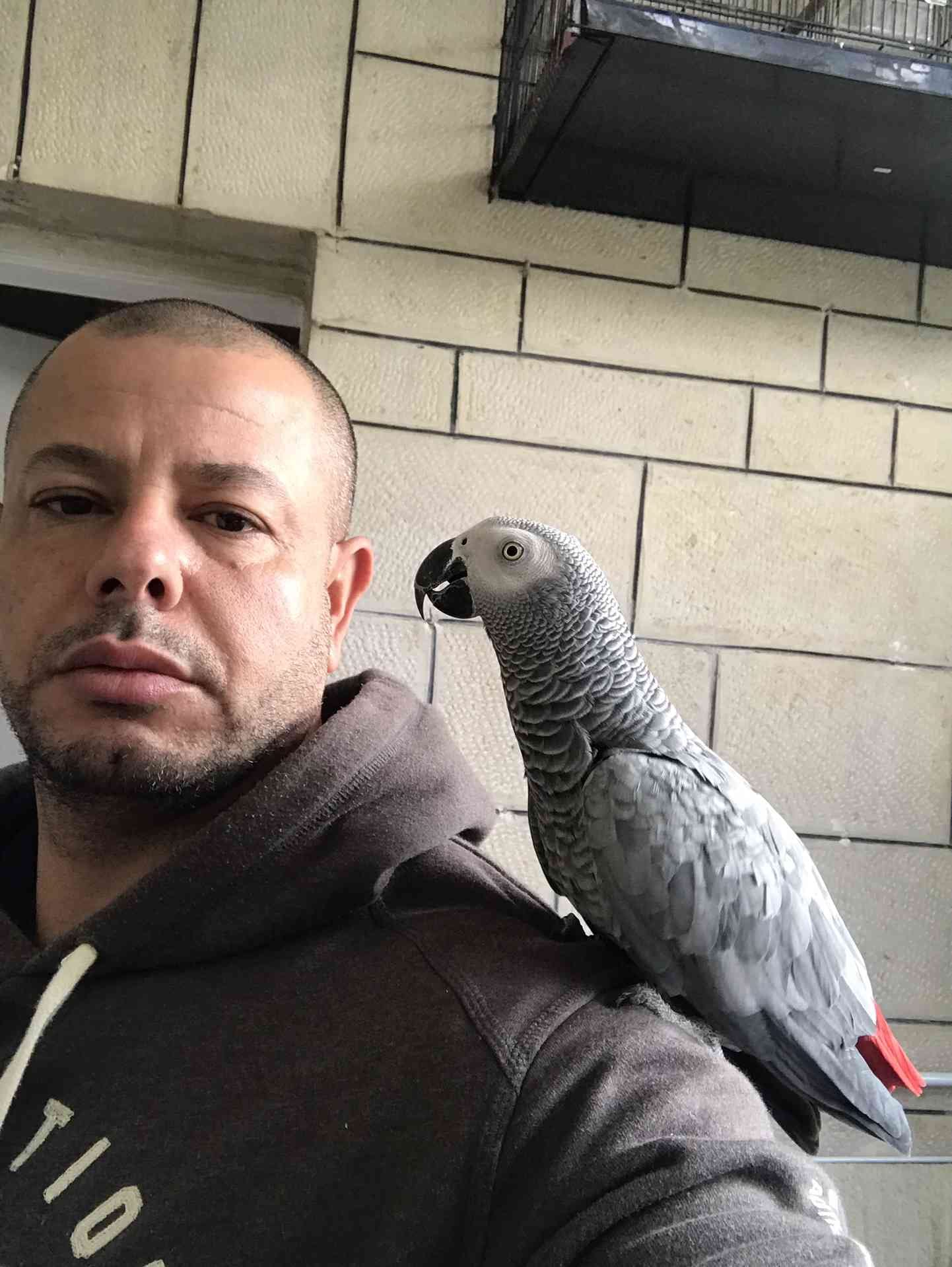 كاسكو لون صدفي اليف متكلم للبيع
لا تنسَ أنك شاهدت هذا الإعلان في عنكبوت
كاسكو عمرو سنه ونص ال...