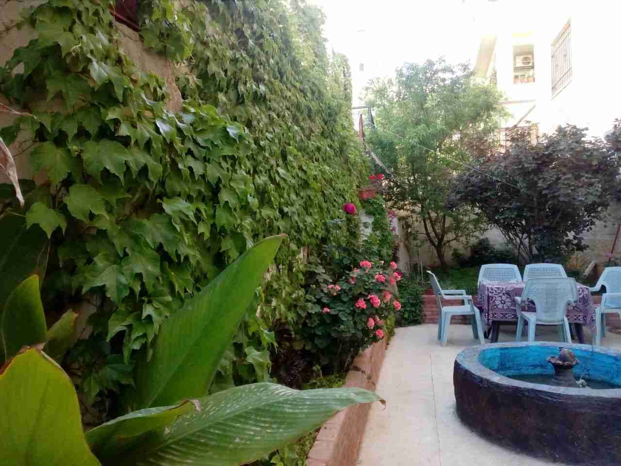 بسعر ممتاز شقه 200م مع حديقه 136م في مرج الحمام
لا تنسَ أنك شاهدت هذا الإعلان في عنكبوت
منط...