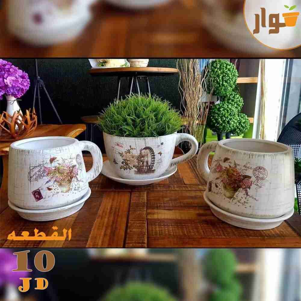 نباتات زينة داخلية وخارجية وقواوير سيراميك نوع فاخر
لا تنسَ أنك شاهدت هذا الإعلان في عنكبوت
ل...