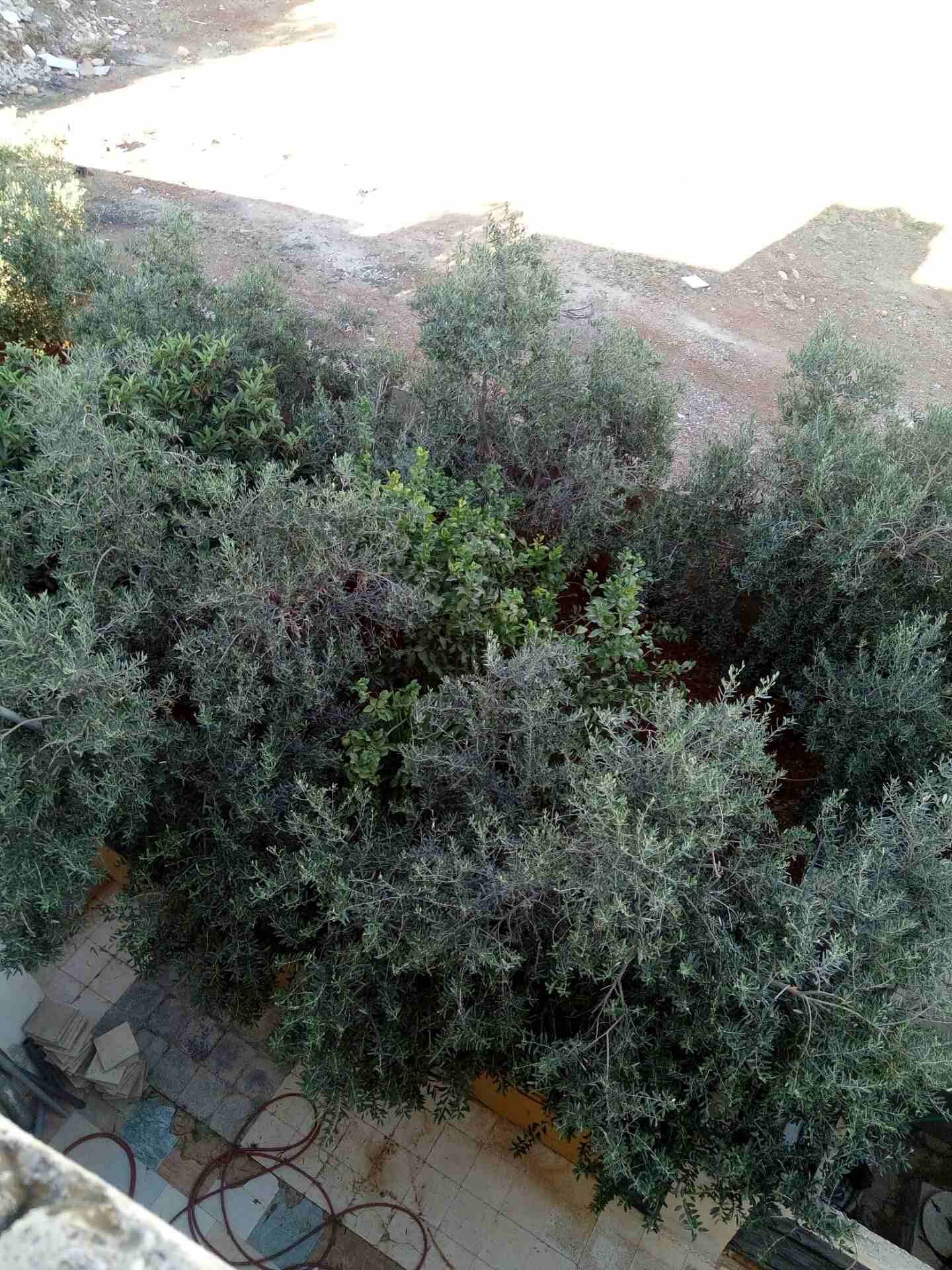 منزل مستقل طريق المطار قريب من الجامعه الزيتونه
لا تنسَ أنك شاهدت هذا الإعلان في عنكبوت
منزل مستق...