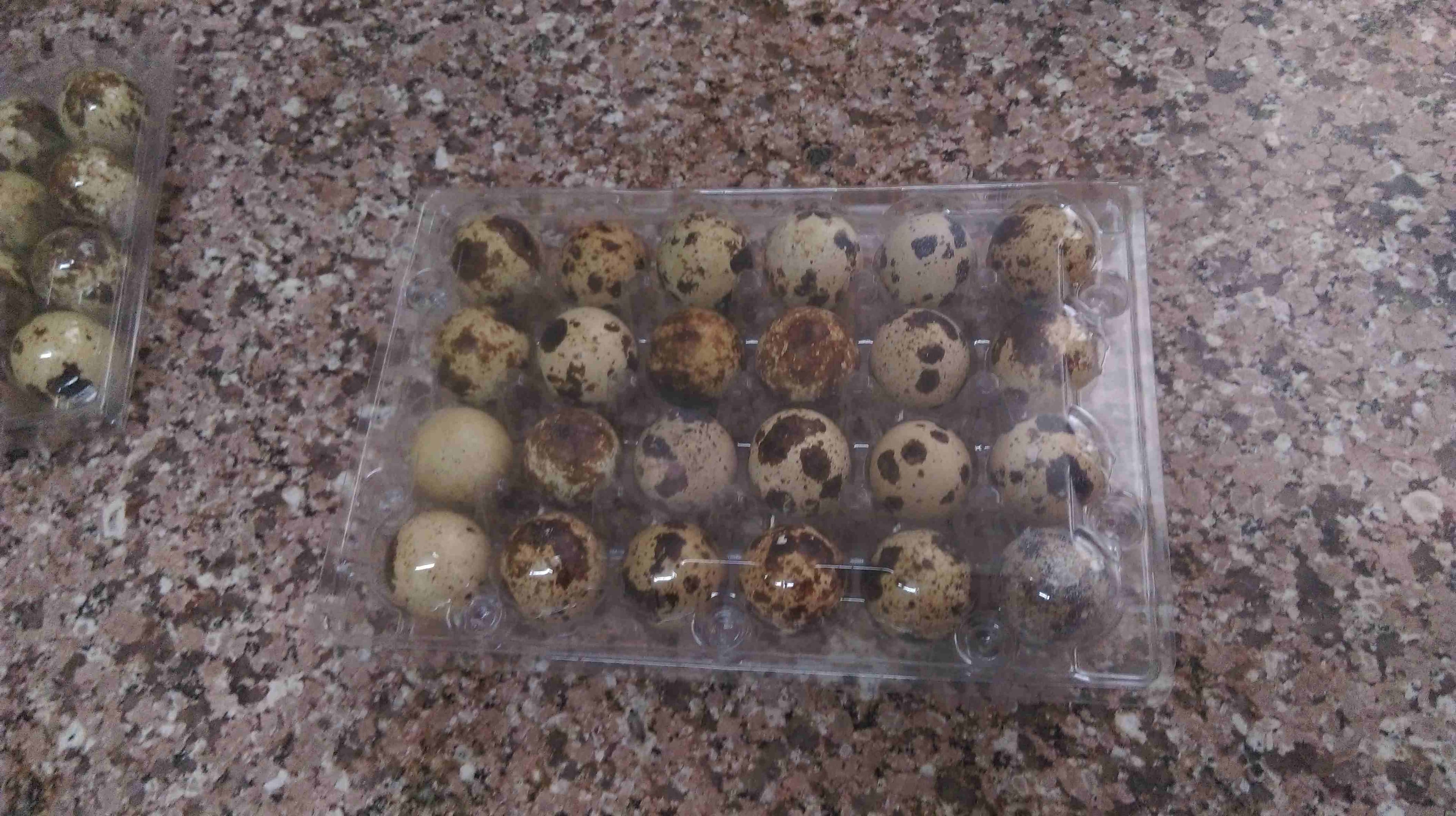 طبق بيض فري ب 75 قرش يا بلاش
لا تنسَ أنك شاهدت هذا الإعلان في عنكبوت
بيض فري للاكل ويوجد مخصب لاص...