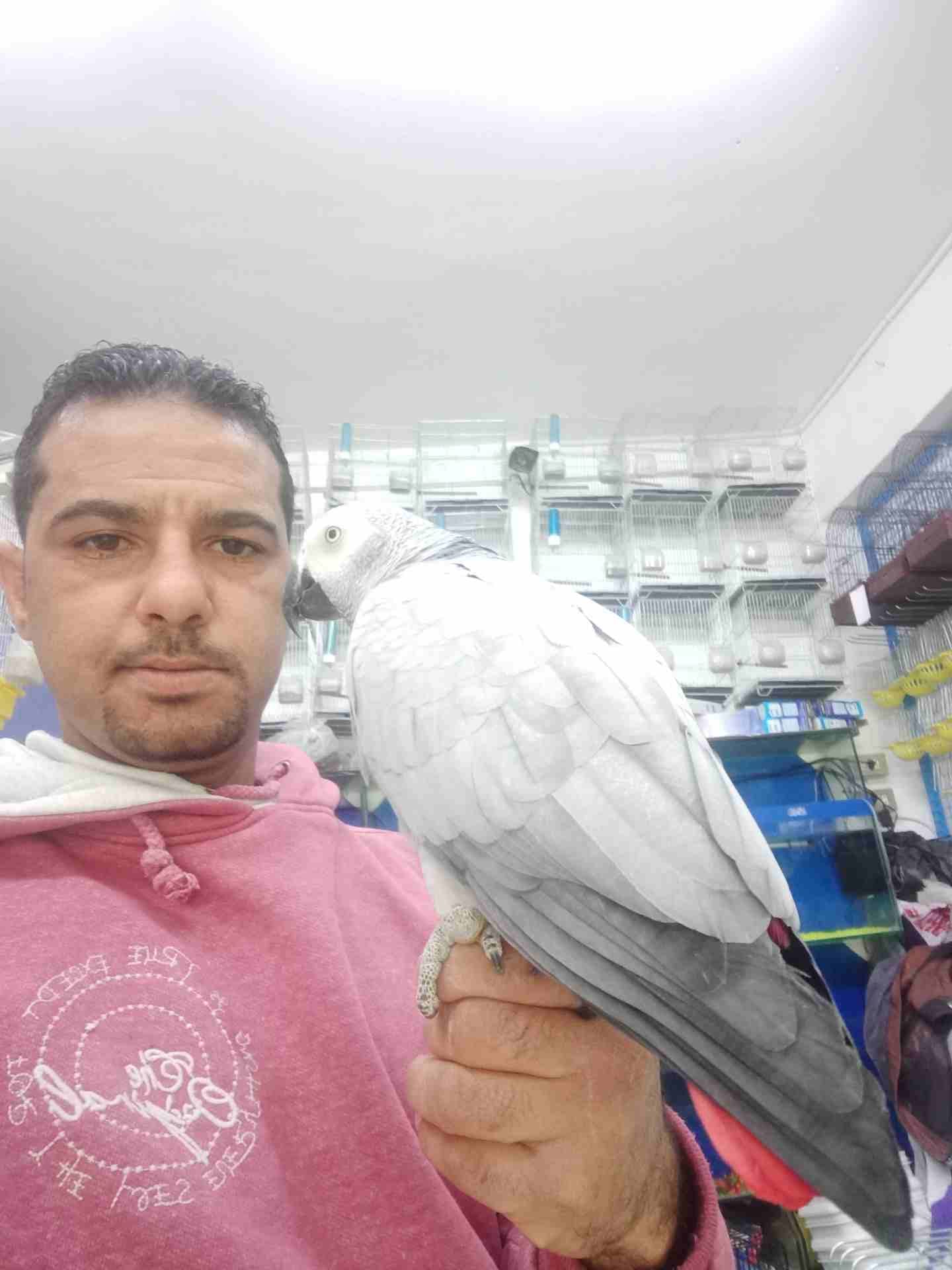 الى عشاق التميز والنوادر #كاسكو_مزرعه ثوب مش ثلجي ثوب #ابيض_سك متكلم م
لا تنسَ أنك شاهدت هذا الإعلان في عنكبوت...