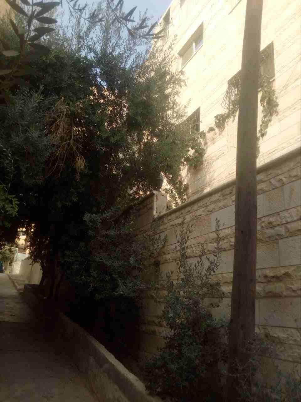 عمارة استثمارية للبيع ام نوارة
لا تنسَ أنك شاهدت هذا الإعلان في عنكبوت
في ام نوارة أراضي جنوب ع...