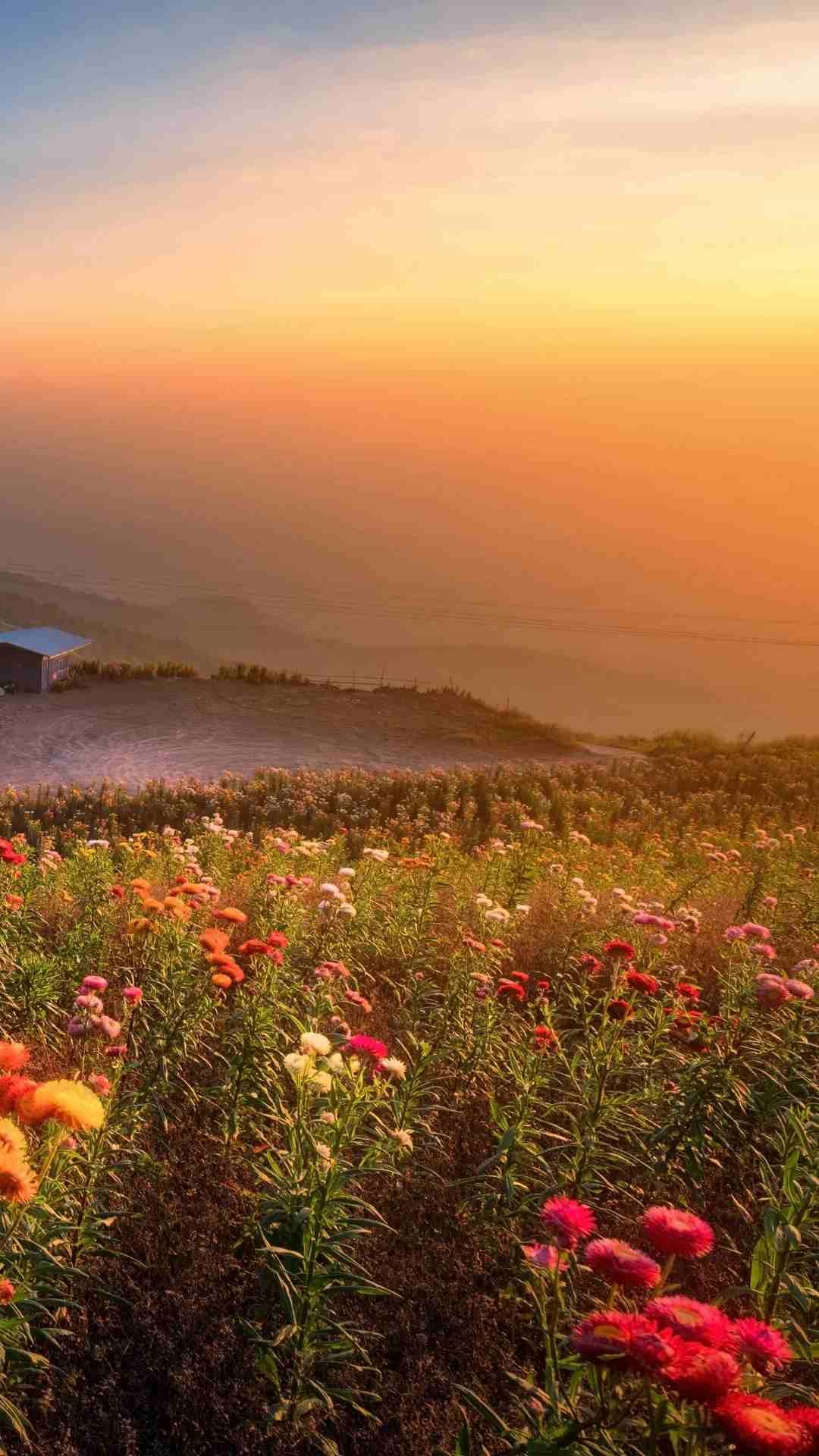 أرض للبيع في شفا بدران بجانب فلل النخبة 860م على شارعين
لا تنسَ أنك شاهدت هذا الإعلان في عنكبوت
أ...