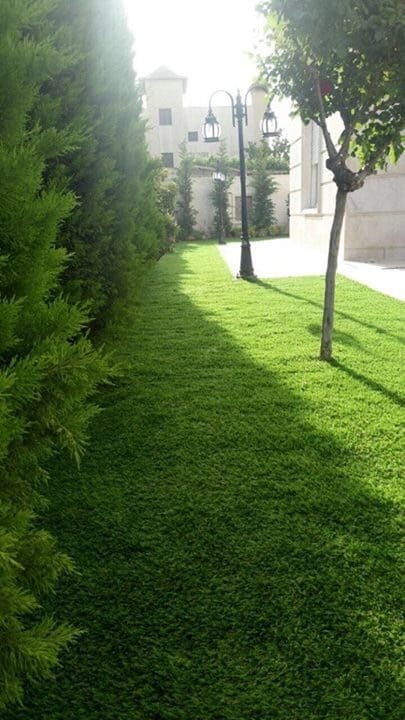 لاندسكيب خاص بالحدائق والملاعب الصغيرة
لا تنسَ أنك شاهدت هذا الإعلان في عنكبوت
جرين فيلدز ابد...