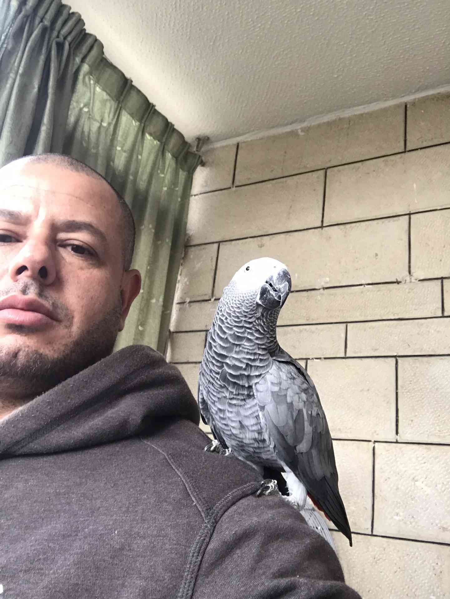 كاسكو لون صدفي اليف متكلم للبيع
لا تنسَ أنك شاهدت هذا الإعلان في عنكبوت
كاسكو عمرو سنه ونص ال...