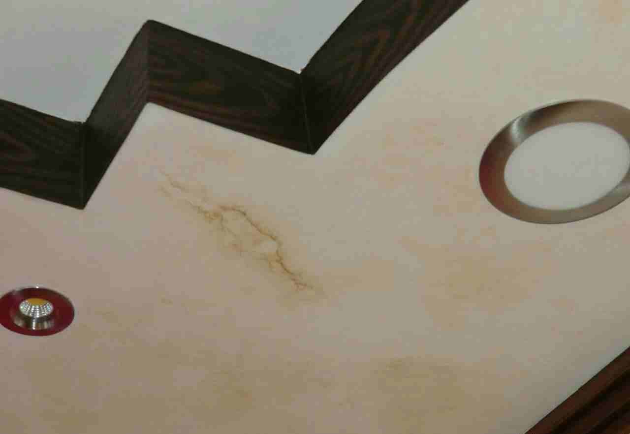 دهان ساده بلاضافه للديكور والوان ؛ وغرف اطفال
لا تنسَ أنك شاهدت هذا الإعلان في عنكبوت
جميع ديكور...