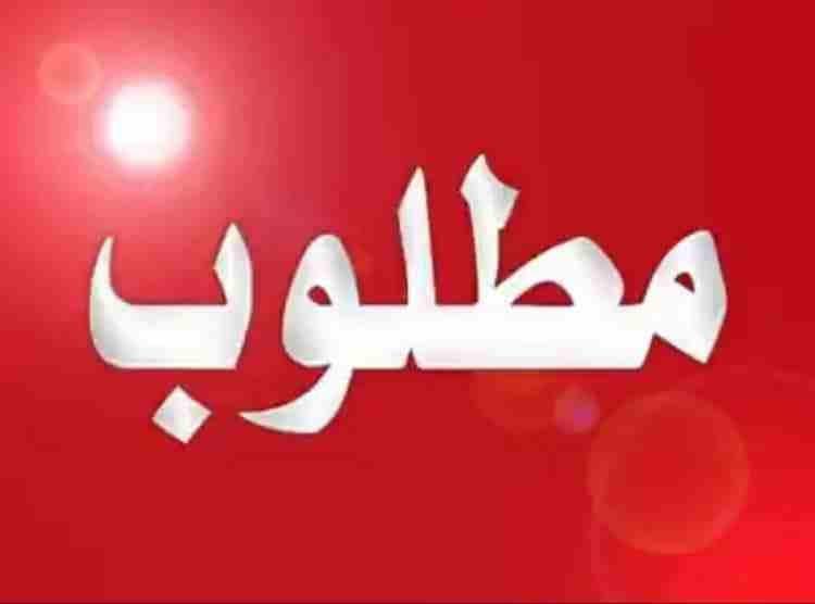 مطلوب انثااا قرين شك شغاله بسعر معقول
لا تنسَ أنك شاهدت هذا الإعلان في عنكبوت
مطلوب انثااا قرين ش...