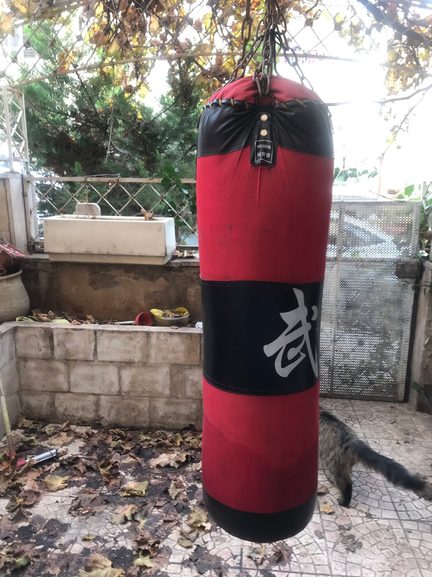 كيس boxing
لا تنسَ أنك شاهدت هذا الإعلان في عنكبوت
كيس boxing للبيع
حالته جيده
بداعي السفر...
