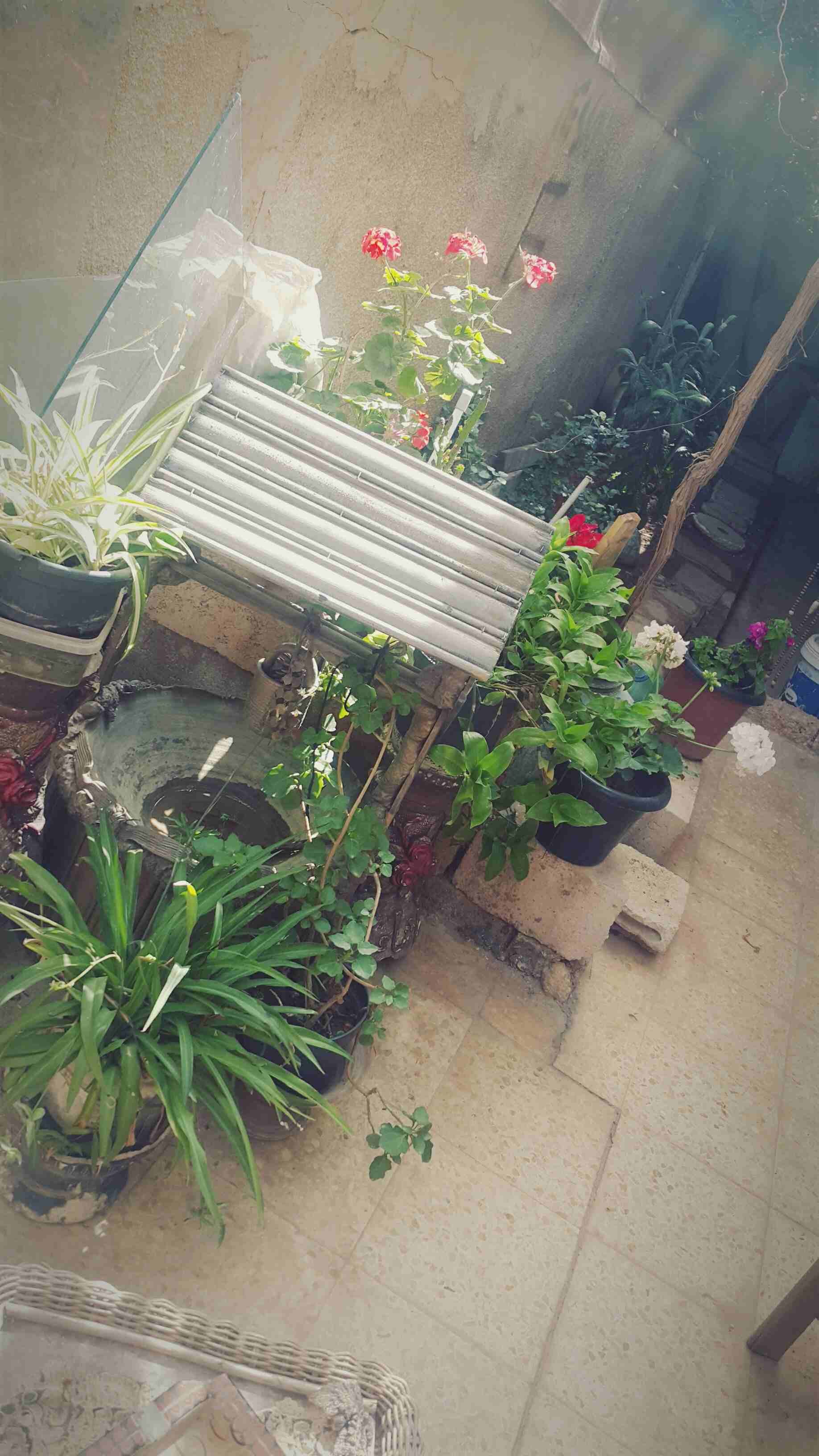 ابو علندا/الرقيم/خلف مطاحن زهرة المدائن شارع عبد الحميد الشوبكي
لا تنسَ أنك شاهدت هذا الإعلان في عنكبوت...
