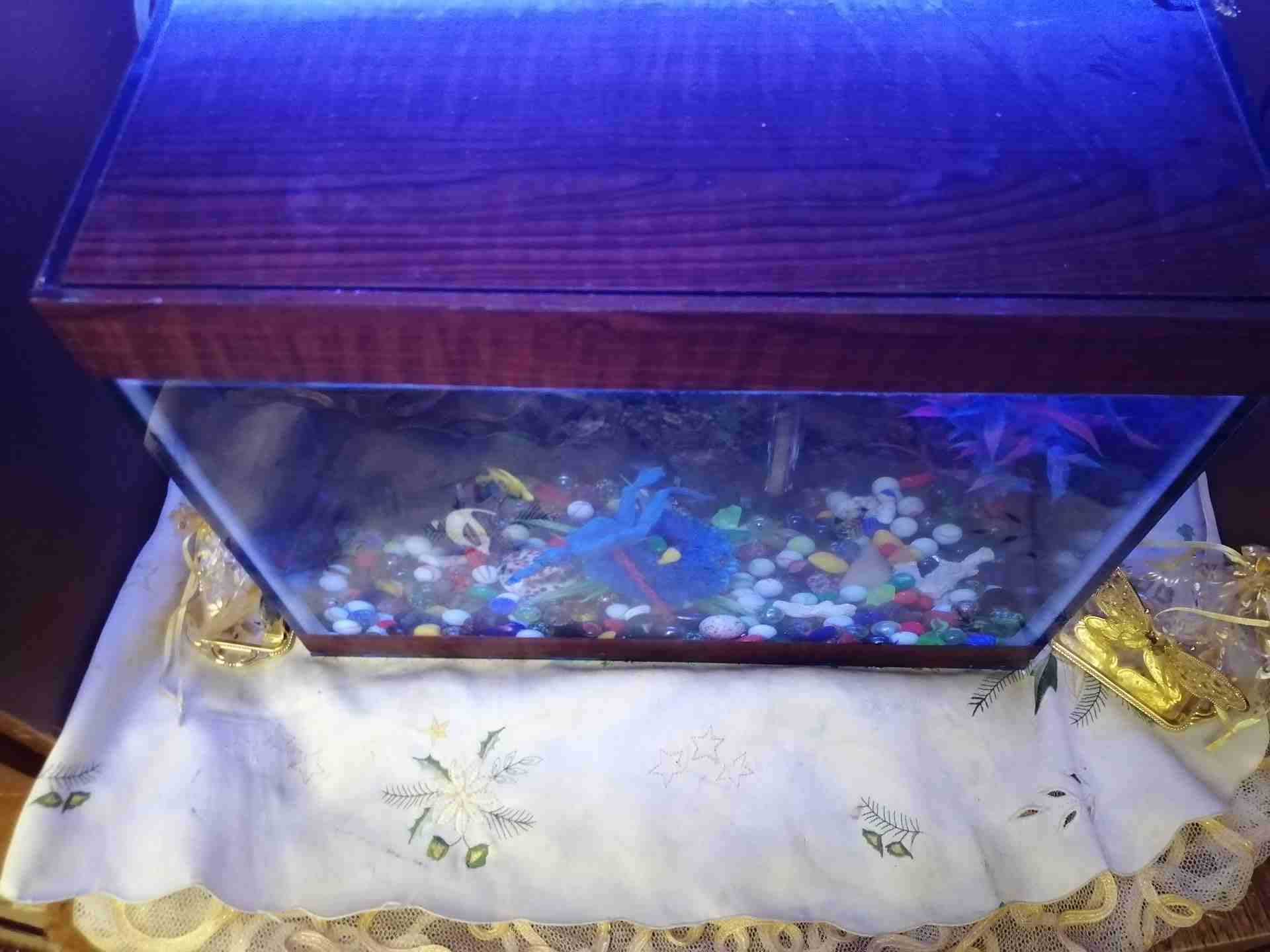 حوض سمك بحاله الجديد للبيع مع عدتو
لا تنسَ أنك شاهدت هذا الإعلان في عنكبوت
حوض 30×40 للبيع...