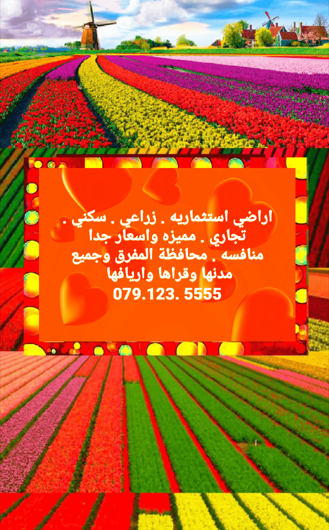 اراضي 95 دونم . المفرق . 300 د
لا تنسَ أنك شاهدت هذا الإعلان في عنكبوت
بسم الله الرحمن الرحيم&nbs...