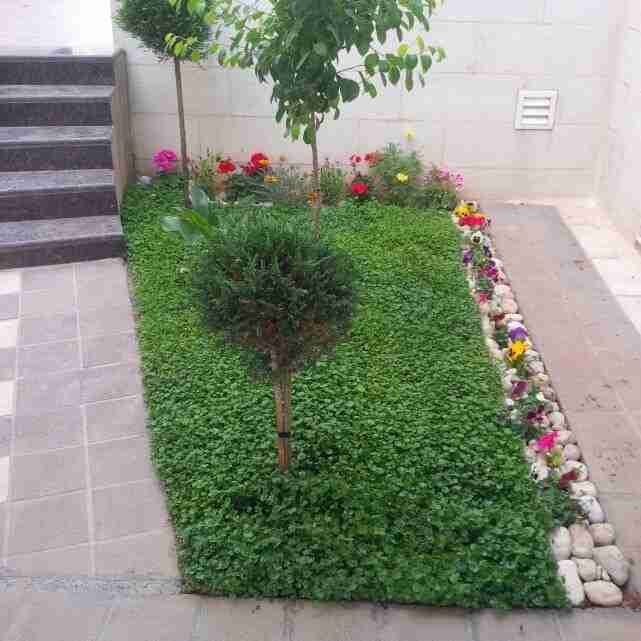 تنسيق وتصميم حدائق
لا تنسَ أنك شاهدت هذا الإعلان في عنكبوت
مؤسسة يامن فلور الزراعية لتنسيق ال...