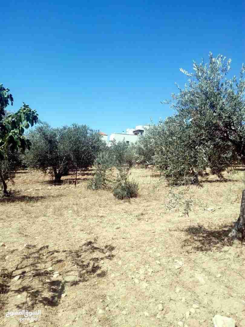للبيع 850م ابو نصير ام بطمه قرب مستشفى الرشيد من المالك
لا تنسَ أنك شاهدت هذا الإعلان في عنكبوت...