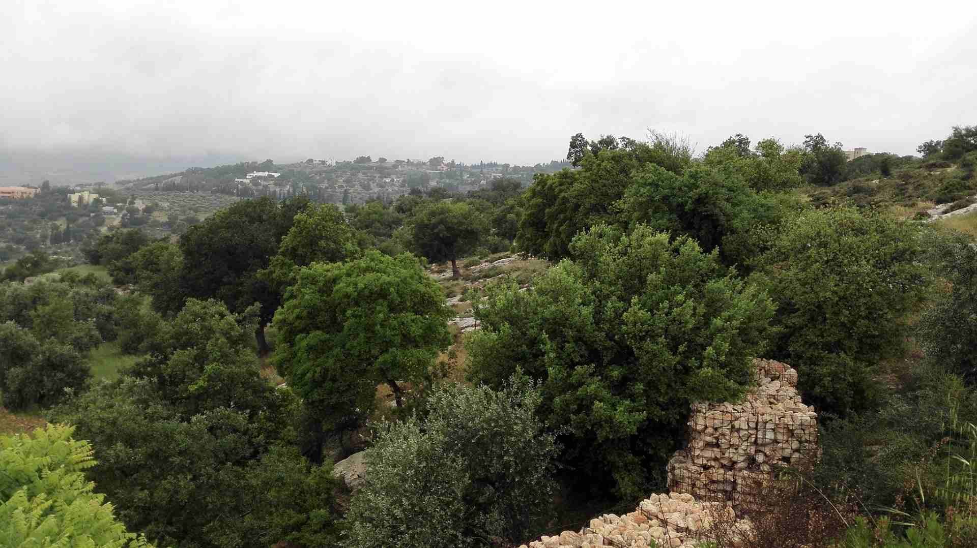 منطقه فلل بطابع ريفي 633م بدر الجديده
لا تنسَ أنك شاهدت هذا الإعلان في عنكبوت
أرض للبيع ، بدر الج...