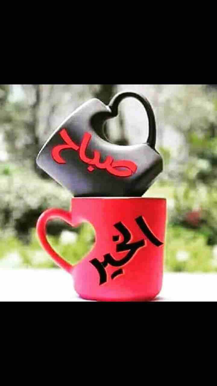شقة للايجار
لا تنسَ أنك شاهدت هذا الإعلان في عنكبوت
شقة للايجار في حي نزال قرب الهنيني
غرفة مناف...