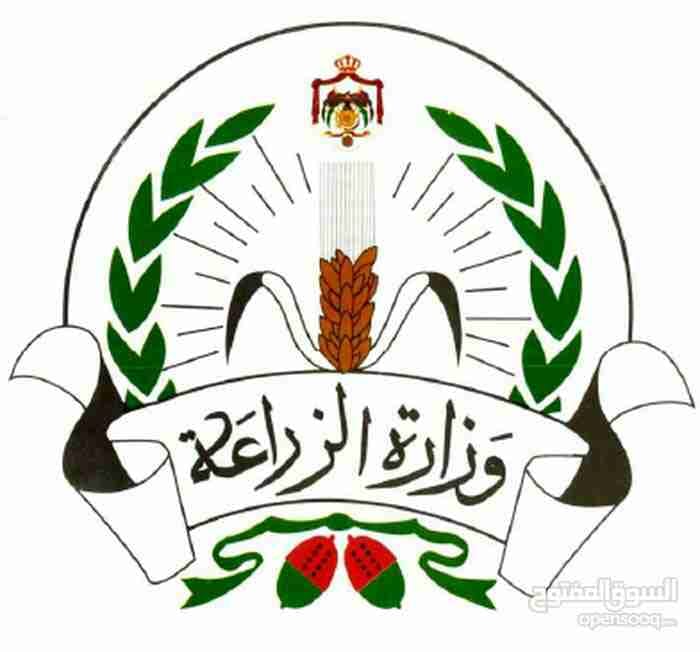 زيت زيتون اصلي افحص واشتري
لا تنسَ أنك شاهدت هذا الإعلان في عنكبوت
زيت رومي بعل السعر. زيت ال...