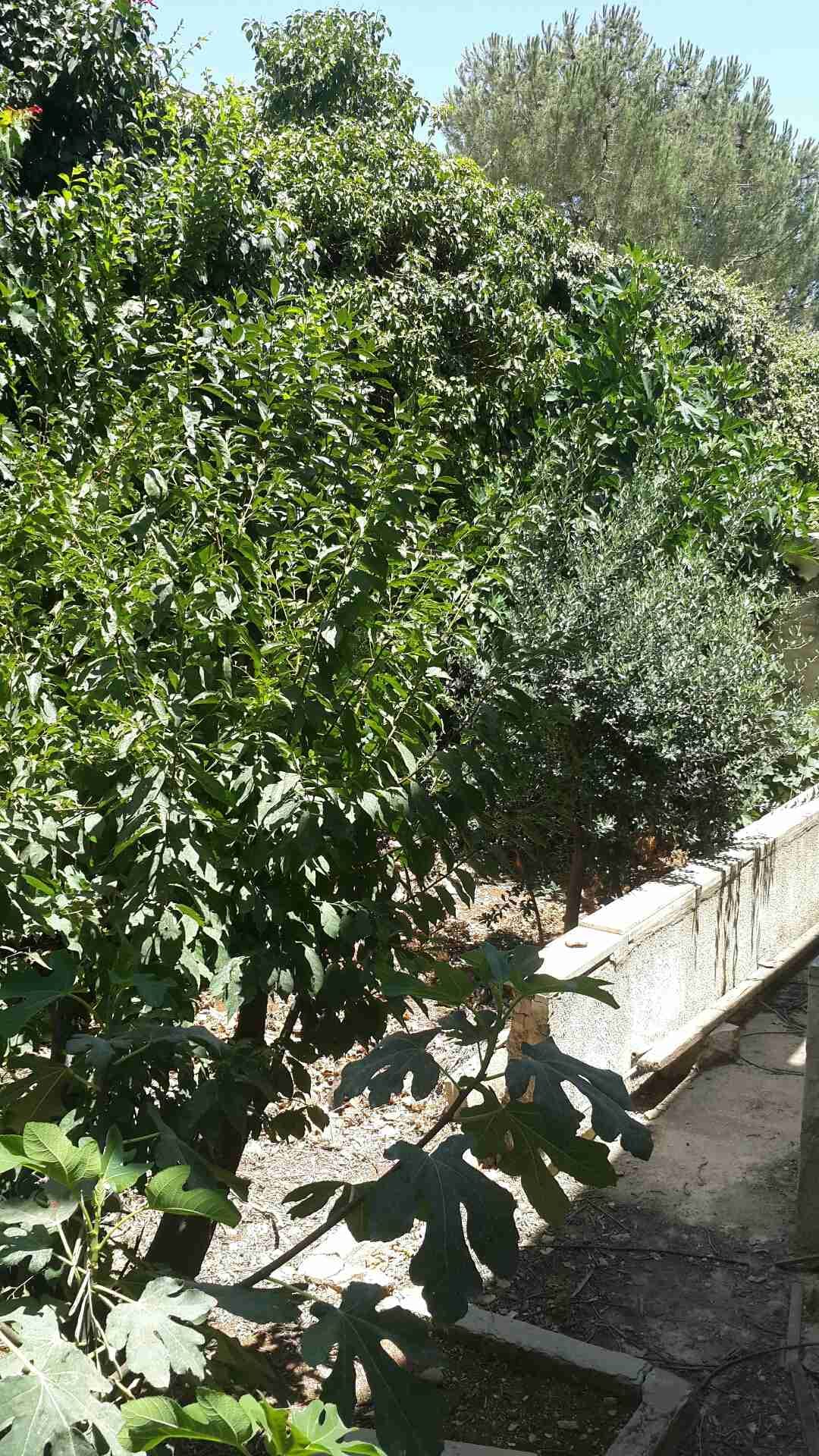 فيلا للبيع خلدا خلف المدارس الانجليزيه مساحه الأرض 400م البناء 350
لا تنسَ أنك شاهدت هذا الإعلان في عنكبوت...