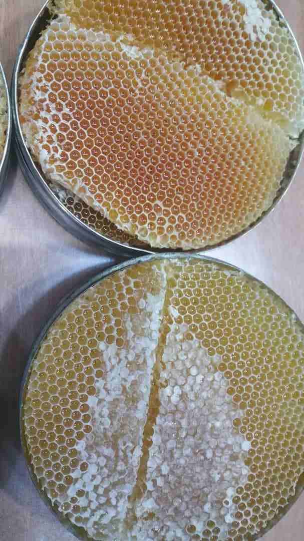 عسل دوعن سدر علاج قوي لجميع الامراض
لا تنسَ أنك شاهدت هذا الإعلان في عنكبوت
مركز ابو علي للعسل حض...