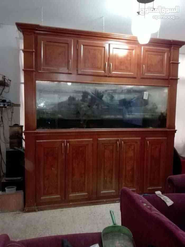 حوض سمك بحري حجم ضخم جداً
لا تنسَ أنك شاهدت هذا الإعلان في عنكبوت
حوض سمك بحري حجم ضخم جداً م...