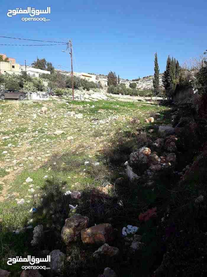 ارض للبيع ناعور وسيل حسبان قرب النبع
لا تنسَ أنك شاهدت هذا الإعلان في عنكبوت
ارض للبيع
اراضي نا...
