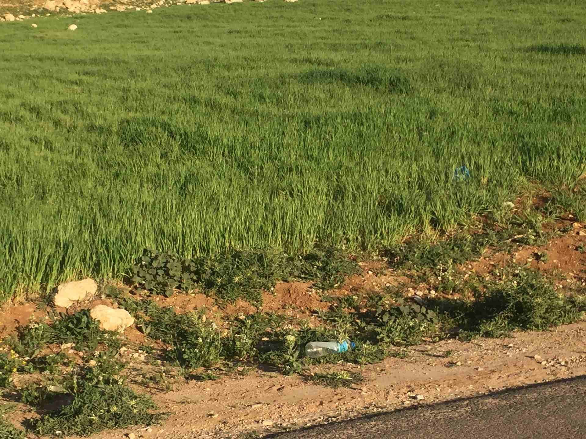 للبيع في شفا بدران حوض عيون الذيب بسعر لقطة
لا تنسَ أنك شاهدت هذا الإعلان في عنكبوت
قطعة أرض للبي...