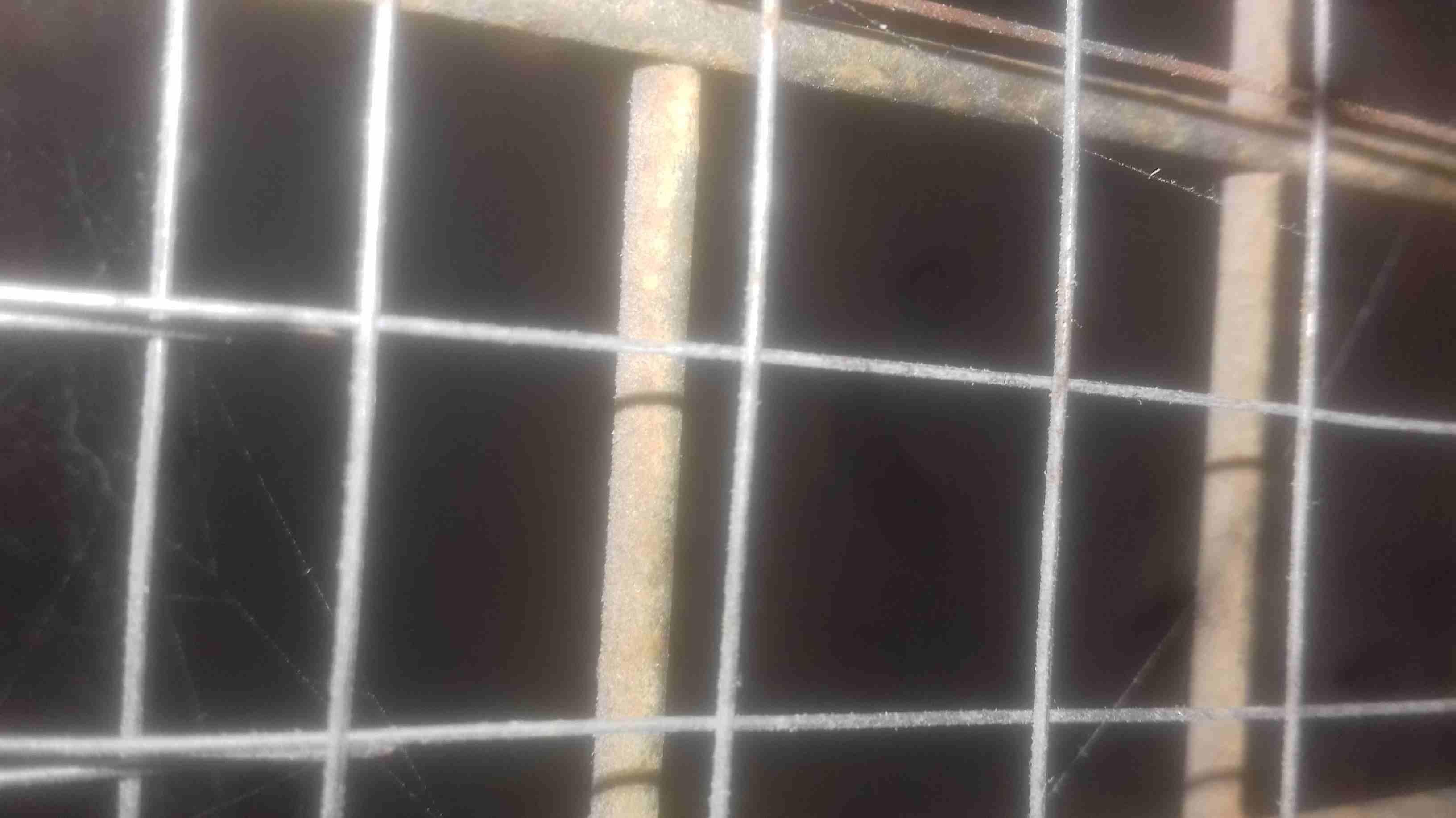 قفص ارنب
لا تنسَ أنك شاهدت هذا الإعلان في عنكبوت
قفص ارنب
رقم ال...