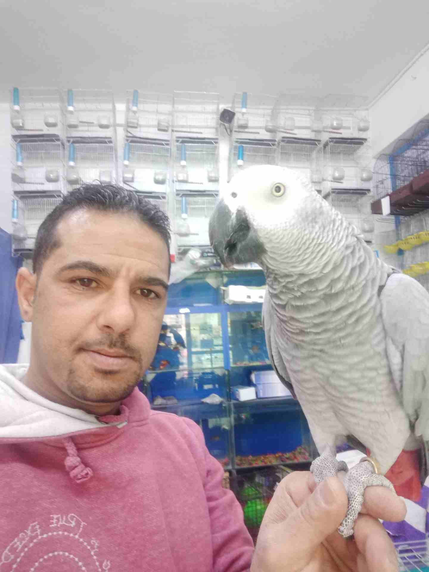 الى عشاق التميز والنوادر #كاسكو_مزرعه ثوب مش ثلجي ثوب #ابيض_سك متكلم م
لا تنسَ أنك شاهدت هذا الإعلان في عنكبوت...