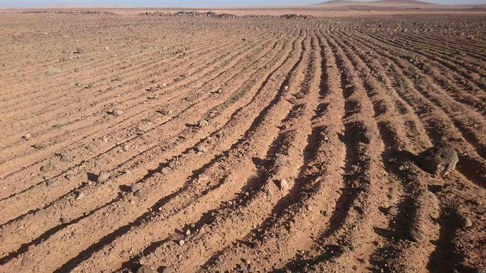 ارض للبيع المفرق البادية الشمالية تل الرماح زراعي31 دنم
لا تنسَ أنك شاهدت هذا الإعلان في عنكبوت...