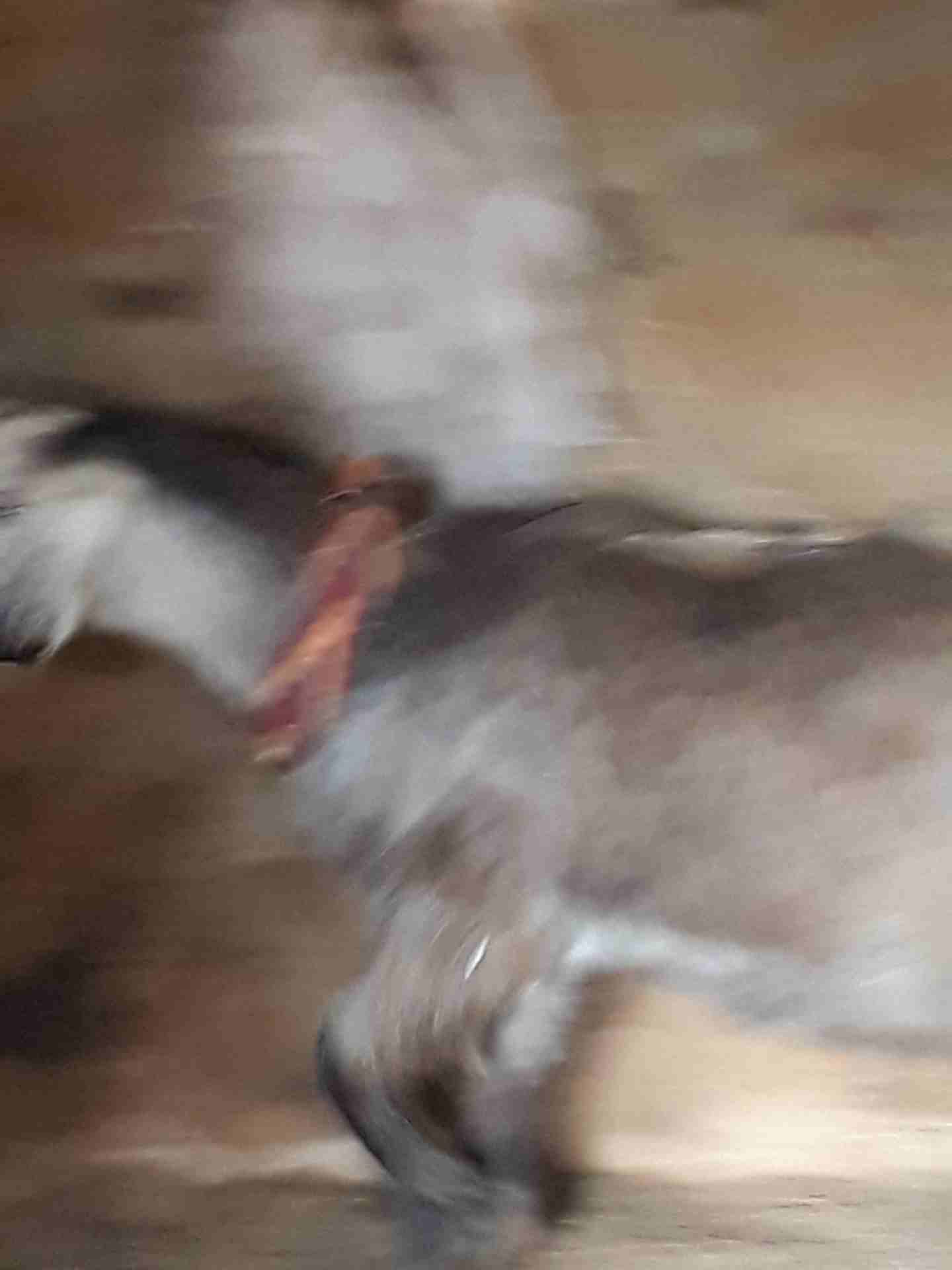 ثنيه كفاله حليب
لا تنسَ أنك شاهدت هذا الإعلان في عنكبوت
ثنيه كفاله حليب موجوده بالمفرق...