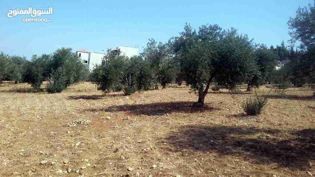 للبيع 850م ابو نصير ام بطمه قرب مستشفى الرشيد من المالك مباشره
لا تنسَ أنك شاهدت هذا الإعلان في عنكبوت...