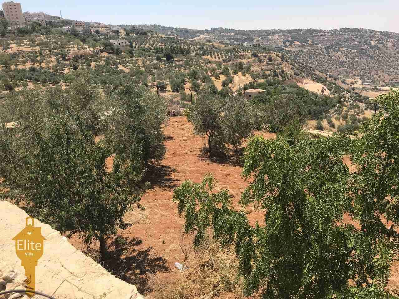 فيلا مستقله للبيع في الاردن - عمان - ماحص بمساحه 400م
لا تنسَ أنك شاهدت هذا الإعلان في عنكبوت...