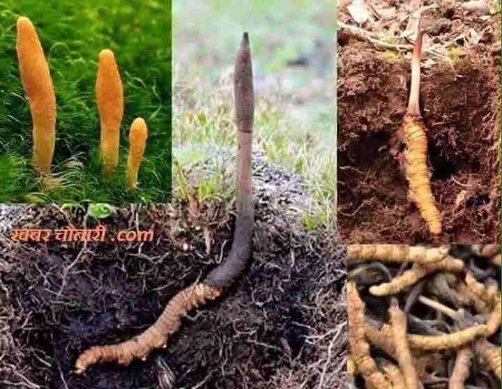 مستحضرات العنايه بالجسم والبشره والصحه
لا تنسَ أنك شاهدت هذا الإعلان في عنكبوت
إذا كنتي تعاني من...