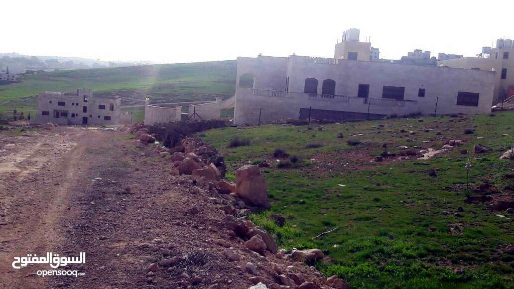 شفا بدران مرج الفرس 756م سكن ب محاطه بالفلل مطله
لا تنسَ أنك شاهدت هذا الإعلان في عنكبوت
ارض...