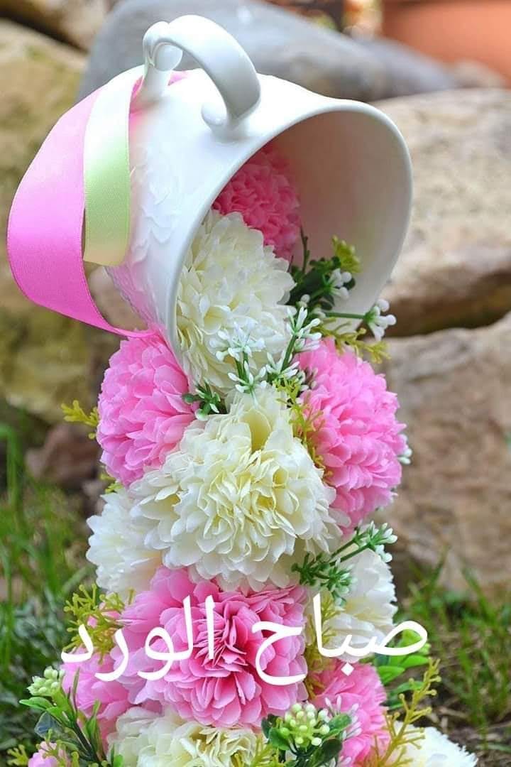 مساج سترخاء للبيوات
لا تنسَ أنك شاهدت هذا الإعلان في عنكبوت
مساج سترخاء للبيوات...