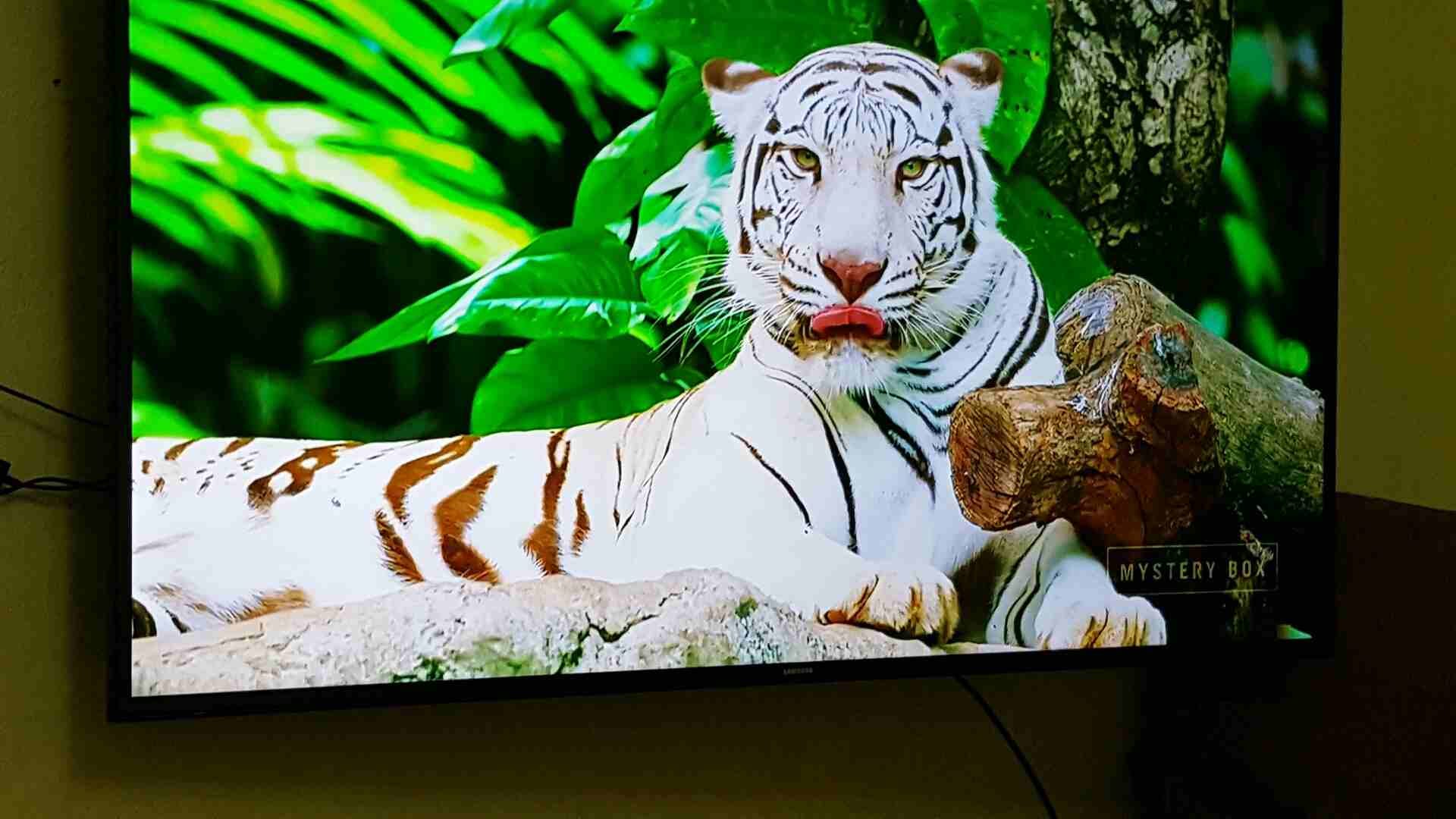 شاشة 55 سامسونج smart 4k
لا تنسَ أنك شاهدت هذا الإعلان في عنكبوت
شاشه سامسونج 55 سمارت 4k جديدة ب...