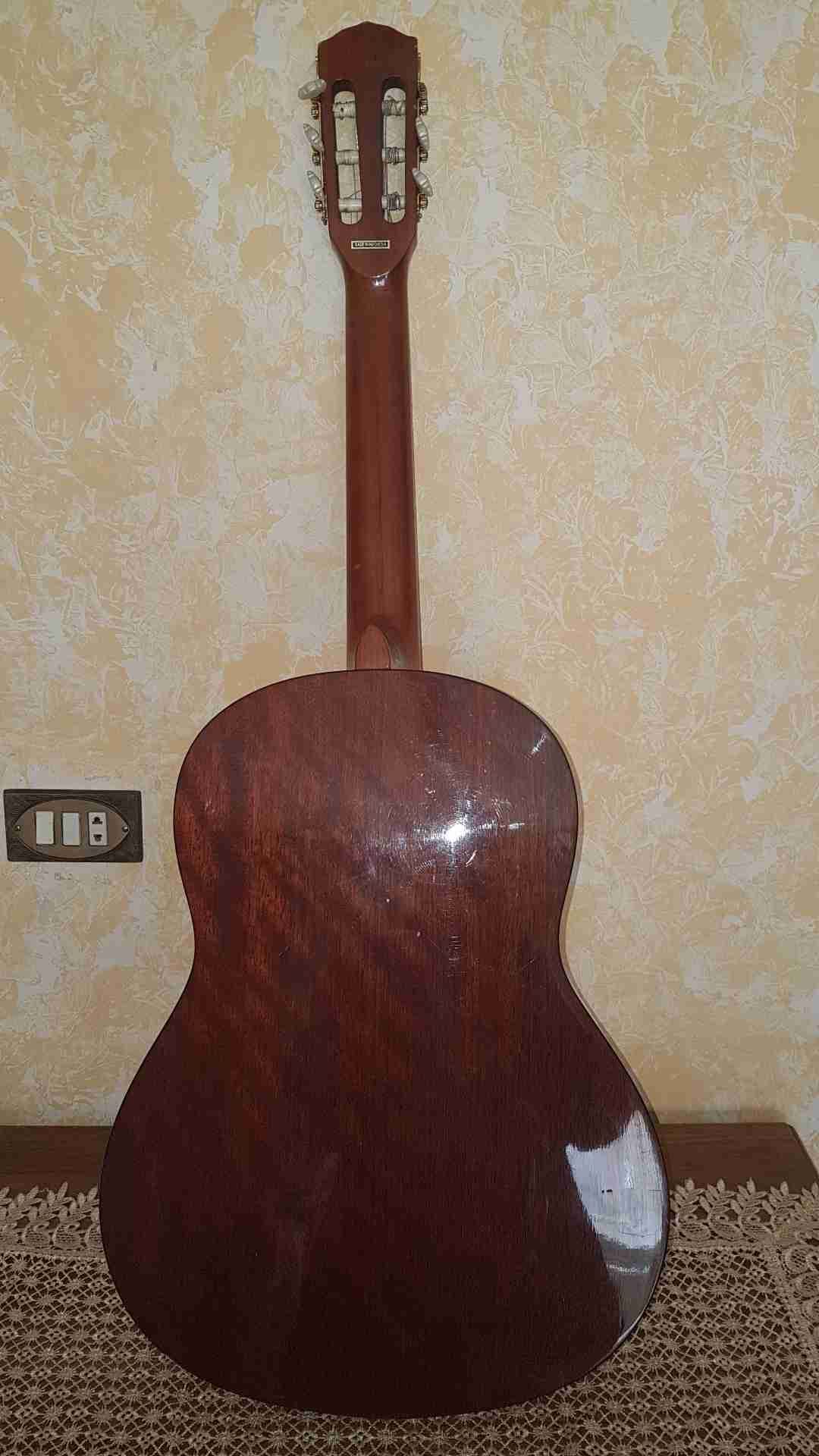 جيتار نوع فيندر للبيع/ fender guitar
لا تنسَ أنك شاهدت هذا الإعلان في عنكبوت
جيتار نوع فيندر...