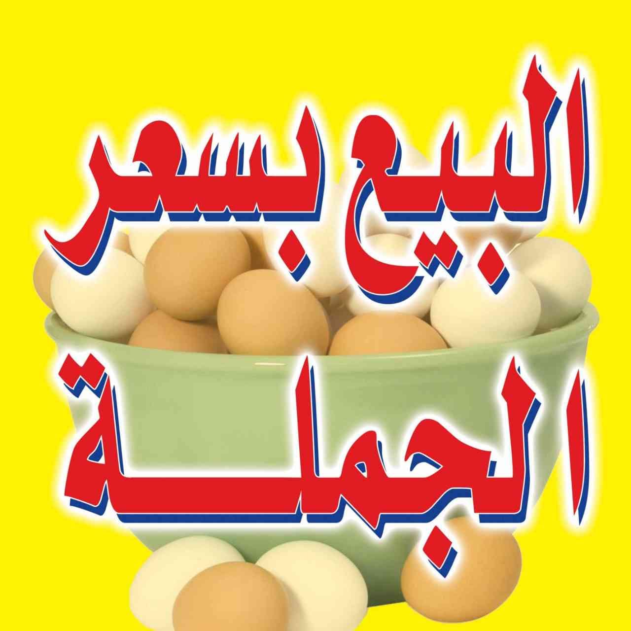 نار ناررر نار أسعار من مزارعنا لاصاحب تجار الجملة
لا تنسَ أنك شاهدت هذا الإعلان في عنكبوت
بيض...