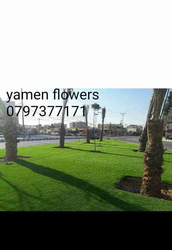 تنسيق وتصميم حدائق
لا تنسَ أنك شاهدت هذا الإعلان في عنكبوت
مؤسسة يامن فلور الزراعية لتنسيق ال...
